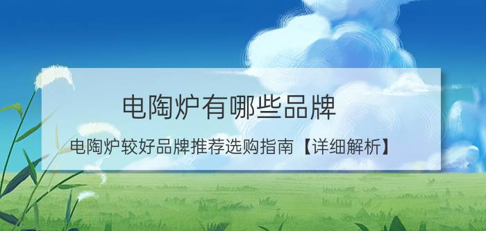 电陶炉有哪些品牌 电陶炉较好品牌推荐选购指南【详细解析】